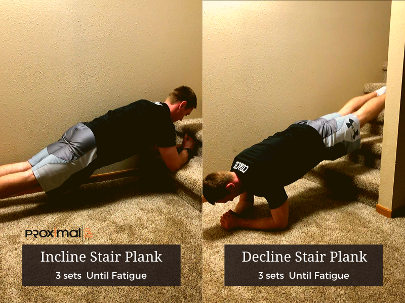At Home Workout with Help from a Furry Friend Proximal50